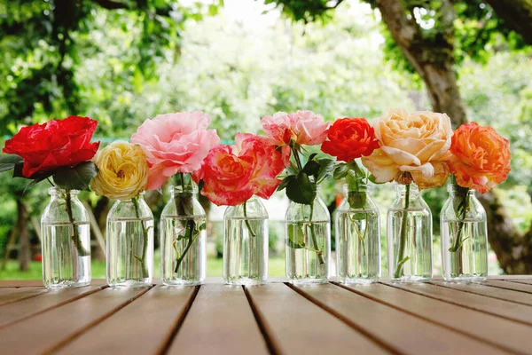 Variation eller grupp av trädgårdsrosor blommor i små vaser eller flaskor. Färgglada blomsterarrangemang eller dekoration i regnbågens färger. Hem eller trädgård, terrass inredning koncept. — Stockfoto