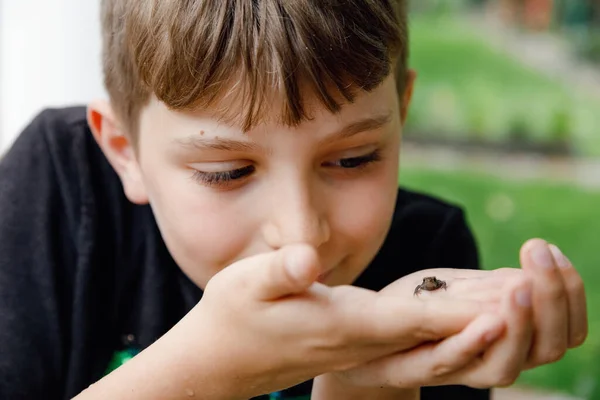 Menino pré-adolescente da escola bonita segurando pequena rã selvagem. Criança curiosa feliz assistindo e explorando animais na natureza. — Fotografia de Stock