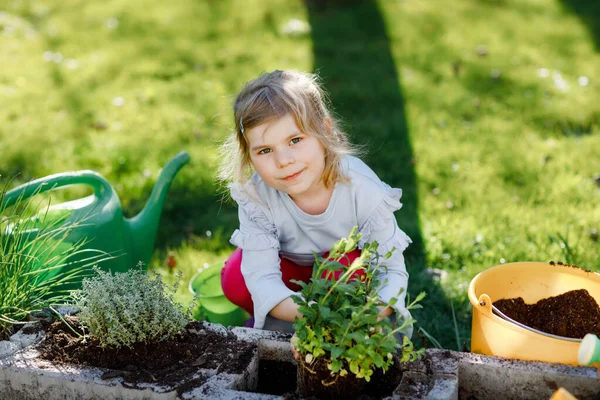 Adorable little toddler girl holding garden shovel with green plants seedling in hands. Cute child learn gardening, planting and cultivating vegetables herbs in domestic garden. Ecology, organic food. — Stock Photo, Image