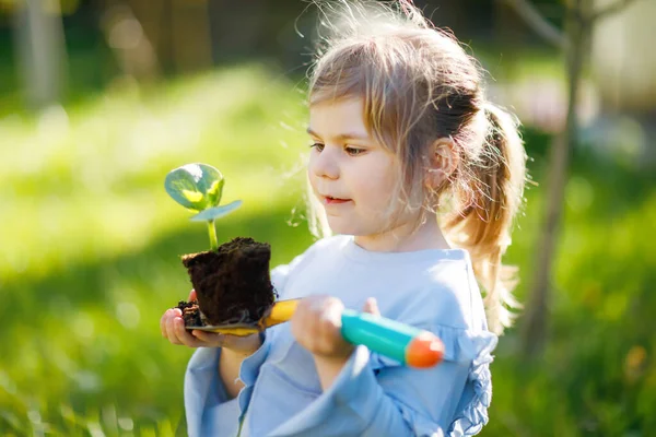 Close-up de menina pequena criança segurando pá de jardim com plantas verdes plântulas nas mãos. Criança bonito aprender jardinagem, plantio e cultivo de hortaliças ervas em casa jardim. Ecologia, alimentos orgânicos. — Fotografia de Stock