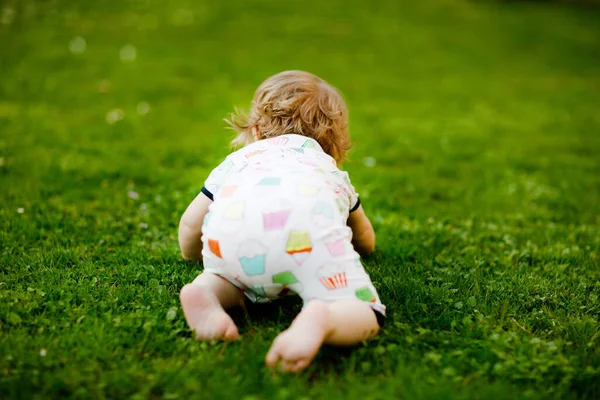 Bonito adorável bebê menina rastejar e fazer primeiros passos ao ar livre. Criança feliz saudável aprendendo a andar. Menina adorável desfrutar de jardim de primavera explorar mundo. — Fotografia de Stock