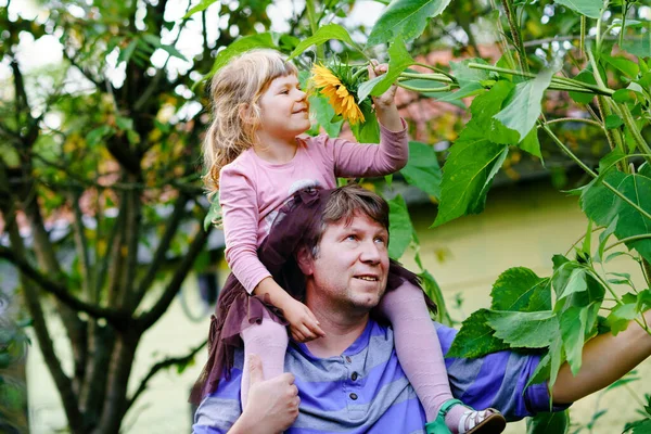 Piccola ragazza prescolastica seduta su spalla di padre con girasole enorme in giardino interno. Famiglia felice, figlio e padre, uomo di mezza eta 'che coltiva fiori. Bambini ed ecologia, concetto di ambiente. — Foto Stock