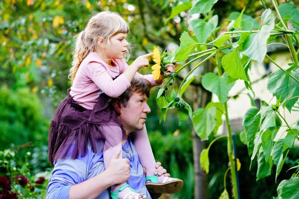 Piccola ragazza prescolastica seduta su spalla di padre con girasole enorme in giardino interno. Famiglia felice, figlio e padre, uomo di mezza eta 'che coltiva fiori. Bambini ed ecologia, concetto di ambiente. — Foto Stock