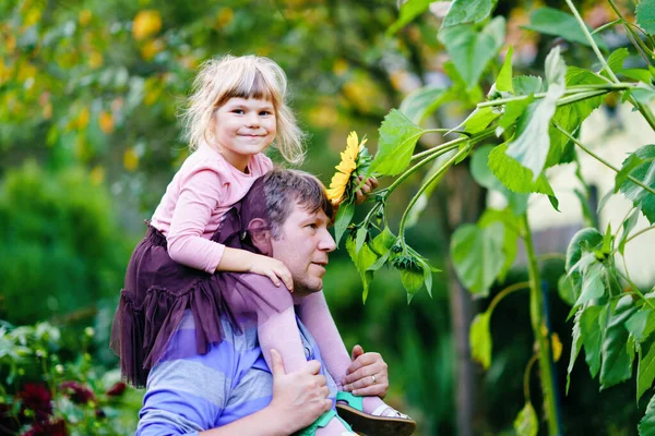 Niña preescolar sentada en el hombro del padre con girasol enorme en el jardín doméstico. Familia feliz, niño y papá, hombre de mediana edad cultivando flores. Niños y ecología, concepto de medio ambiente. —  Fotos de Stock