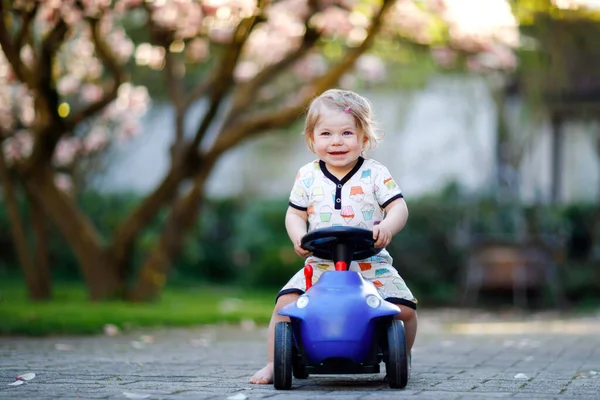 Niedliche kleine Mädchen spielen mit blauen kleinen Spielzeugauto im Garten von Haus oder Kinderzimmer. entzückend schöne Kleinkind Kind mit blühenden Magnolie auf dem Hintergrund — Stockfoto