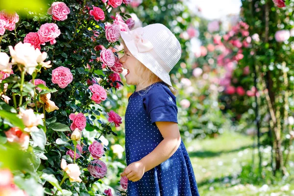 Portret van een kleuter in een bloeiende rozentuin. Schattig mooi mooi kind dat plezier heeft met rozen en bloemen in een park op zomerse zonnige dag. Gelukkig lachende baby. — Stockfoto