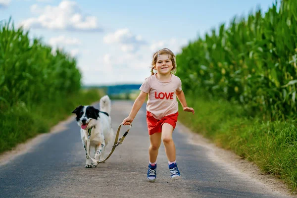 Cute little preschool girl going for a walk with family dog in nature. Happy smiling child having fun with dog, run and hugging. Happy family outdoors. Friendship and love between animal and kids — Stock Photo, Image