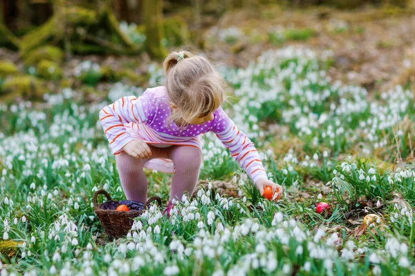 Kleines Mädchen in rosa Kleid bei der Eiersuche im Frühlingswald an einem sonnigen Tag im Freien. Nettes glückliches Kind mit vielen Schneeglöckchen und bunten Eiern. Frühlingserwachen, christliches Feiertagskonzept. — Stockfoto