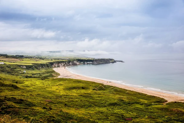 Schroffe Landschaft in der Grafschaft Antrim, Irland. Strand mit Klippen, grünes felsiges Land mit Schafen an neblig bewölkten Tagen. Wilder Atlantischer Weg. — Stockfoto