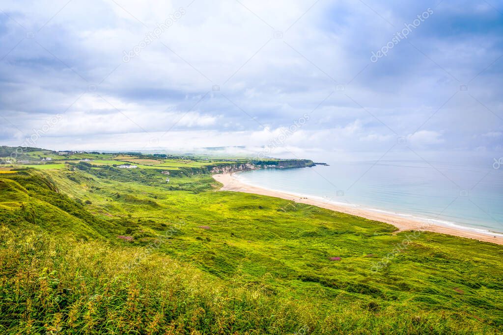 Rugged landscape in County Antrim, Ireland. Beach with cliffs, green rocky land with sheep on foggy cloudy day. Wild Atlantic Way region.