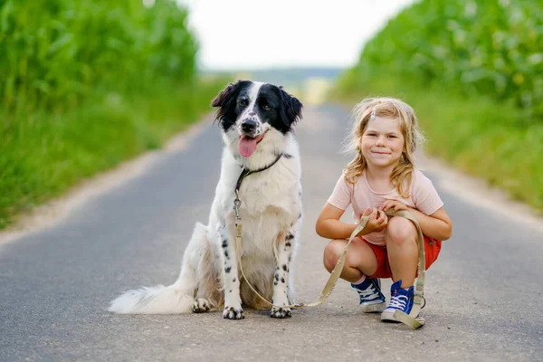 Jolie petite fille d'âge préscolaire qui va se promener avec un chien de famille dans la nature. Joyeux enfant souriant s'amuser avec chien, courir et étreindre. Joyeux famille à l'extérieur. Amitié et amour entre animaux et enfants — Photo