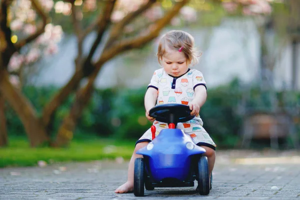 Cute little baby girl playing with blue small toy car in garden of home or nursery. Adorable beautiful toddler child with blossoming magnolia on background — Stock Photo, Image