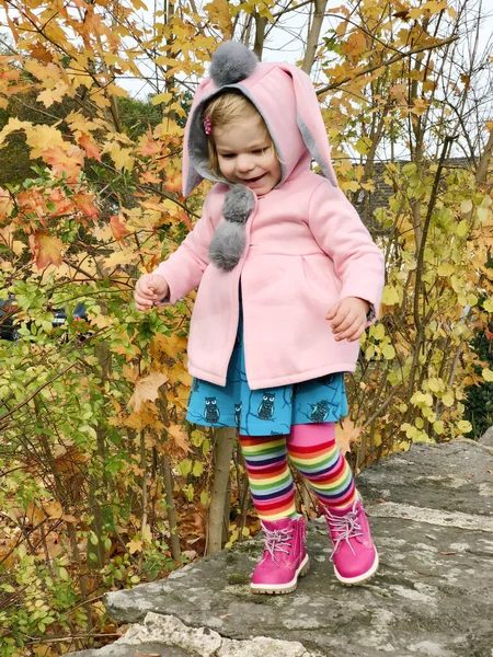 Adorable niña linda niño caminando en un parque en el día de otoño. Feliz niño divirtiéndose al aire libre. Actividades otoñales con niños. Hacer un paseo con la familia. —  Fotos de Stock