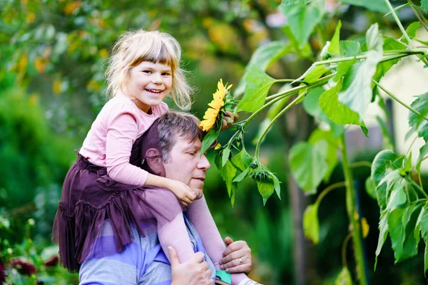 Little preschool girl sitting on shoulder of father with huge sunflower in domestic garden. Happy family, child and dad, middle-aged man cultivating flowers. Kids and ecology, environment concept. — Stock Photo, Image