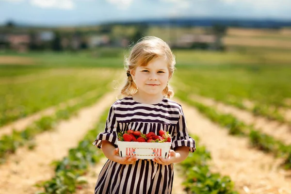 幸せな小さな幼児の女の子の肖像画は、晴れた日に、夏に有機ベリーファームで健康的なイチゴを選んで食べています。笑顔の子供。イチゴ農園の畑の子供、熟した赤い果実. — ストック写真
