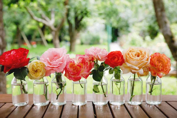 Variante oder Gruppe von Gartenrosen, die in kleinen Vasen oder Flaschen blühen. buntes Blumengesteck oder Dekoration in Regenbogenfarben. Haus oder Garten, Terrassendekoration. — Stockfoto