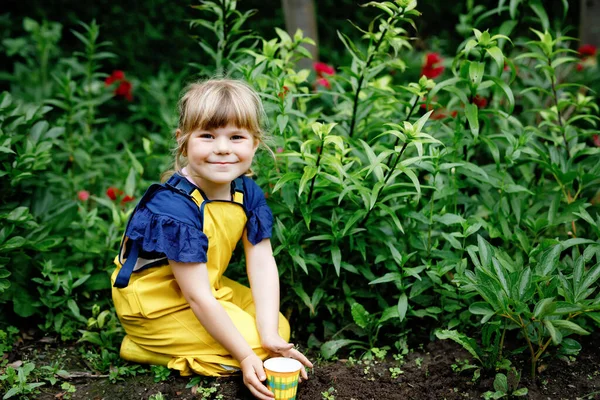 Piccola bambina in età prescolare piantare piantine di girasoli in giardino domestico. Bambino del bambino impara giardinaggio, piantare e coltivare fiori e piante. Bambini ed ecologia, concetto di ambiente. — Foto Stock
