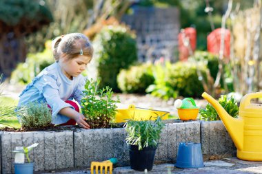 Elinde yeşil bitkiler filizlenen bahçe küreğini tutan sevimli küçük kız. Sevimli çocuk bahçeciliği, ekmeyi ve sebze yetiştirmeyi evcil bahçede öğreniyor. Ekoloji, organik gıda.