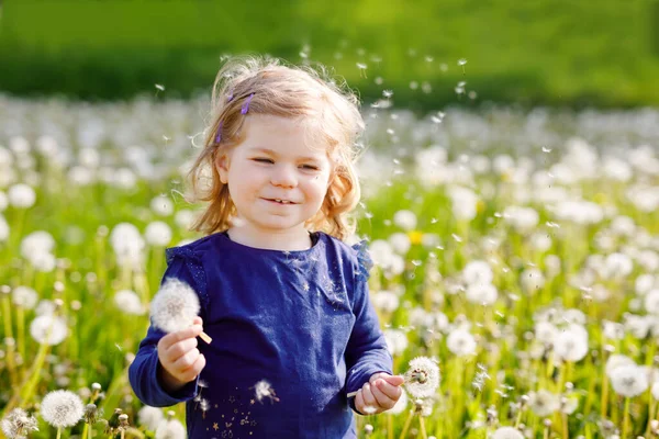 Adorable linda niña soplando en una flor de diente de león en la naturaleza en el verano. Feliz niño hermoso niño sano con blowball, divirtiéndose. Luz de puesta de sol brillante, niño activo. — Foto de Stock