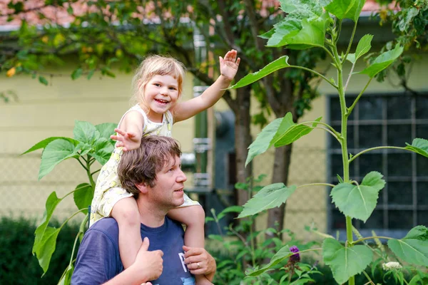 Kleines Vorschulmädchen sitzt auf der Schulter des Vaters mit riesigen Sonnenblumen im heimischen Garten. Glückliche Familie, Kind und Vater, Mann mittleren Alters, der Blumen kultiviert. Kinder und Ökologie, Umweltkonzept. — Stockfoto