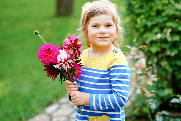 Petite fille d'âge préscolaire avec un énorme bouquet de fleurs de dahlia rouges et roses en fleurs. Joyeux enfant tenant dans ses mains des fleurs. Préscolaire avec pivoines pour la mère ou l'anniversaire. Jardinage des enfants. — Photo