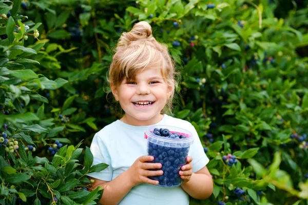 ブルーベリー畑で新鮮な果実を選ぶ小さな就学前の女の子。幼児の子供は有機果樹園の農場でブルーベリーを選ぶ。幼児農業。未就学児の園芸。夏の家族の楽しみ。健康的なバイオフード. — ストック写真