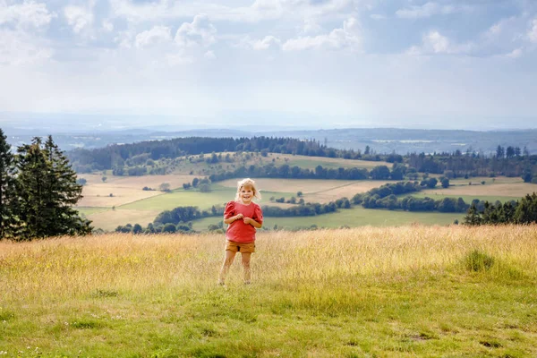 Klein kleuter meisje rennen en lopen door weide met bloeiende veldbloemen, met uitzicht op heuvels en bergen. Happy peuter kind plezier hebben, buitenshuis familie activiteit, wandelen op zomerdag. — Stockfoto