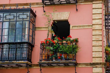 İspanya, Seville 'deki eski şehir merkezinin kapısı olan dekoratif balkonlar ve pencereler.