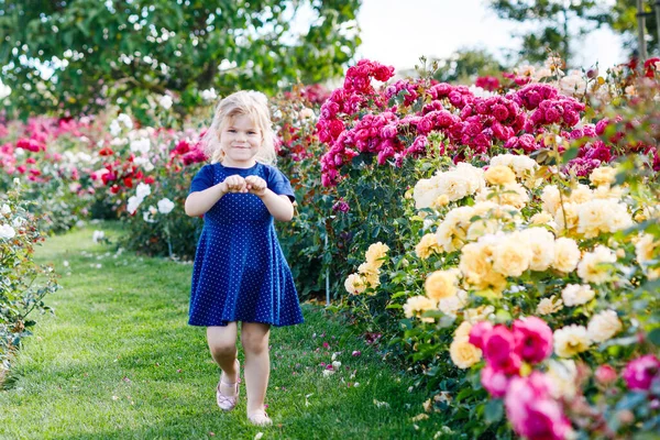 Portrait de petite fille tout-petit en pleine floraison roseraie. Jolie belle belle enfant s'amusant avec des roses et des fleurs dans un parc par une journée ensoleillée d'été. Bébé souriant heureux. — Photo