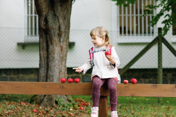 Pequena menina bonito comer maçã madura vermelha. Criança pré-escolar sorridente feliz com sacola segurando frutas biológicas frescas. Maçãs da colheita. — Fotografia de Stock