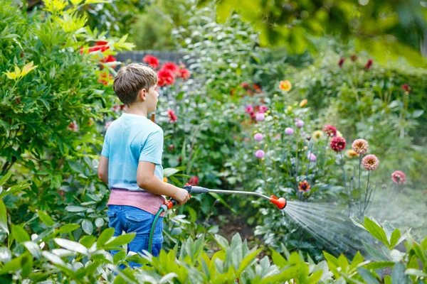Vacker liten skolpojke vattnar trädgårdsblommor med vattenslang på sommardagen. Glada barn hjälper i familjens trädgård, utomhus, ha kul med stänk — Stockfoto