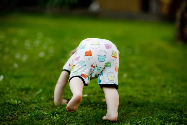 Mignon adorable bébé fille ramper et faire les premiers pas à l'extérieur. Enfant heureux et en bonne santé apprenant à marcher. Belle fille profiter jardin de printemps explorer le monde. — Photo