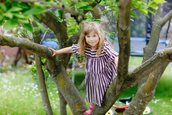 Malá školačka leze na strom na rodinném dvorku. Krásné šťastné batole dítě visí na magnólii strom, aktivní hry s dětmi venku. Venkovní aktivity v parku nebo zahradě — Stock fotografie