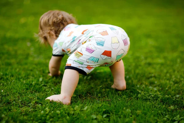 Şirin bir kız bebek sürünecek ve ilk adımlarını dışarıda atacak. Yürümeyi öğrenen sağlıklı, mutlu bir çocuk. Güzel kız bahar bahçesinin tadını çıkar dünyayı keşfet.