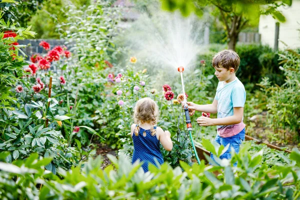 Piękna dziewczynka maluch i chłopiec szkolny podlewanie kwiatów ogrodowych z wężem wodnym w letni dzień. Dwoje szczęśliwych dzieci, słodkie rodzeństwo pomagające w rodzinnym ogrodzie, na świeżym powietrzu, bawiące się chlapaniem — Zdjęcie stockowe