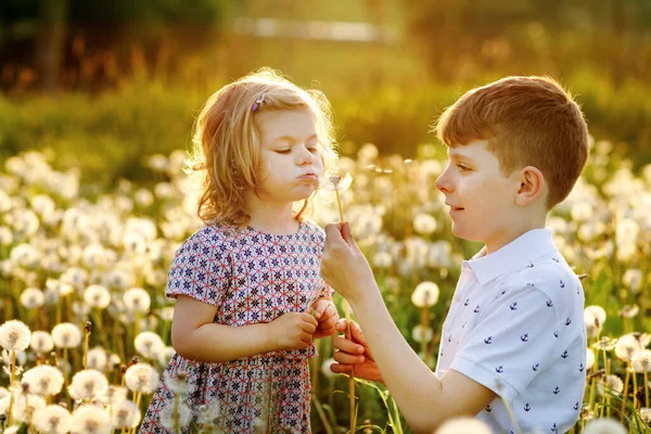 Okul çocuk çocuk ve küçük kız yaz aylarında doğa üzerinde karahindiba çiçeklerüfleme. Mutlu sağlıklı bebek ve blowballs ile okul çocukları, eğlenmek. İki aşkın ailesi, birlikte — Stok fotoğraf