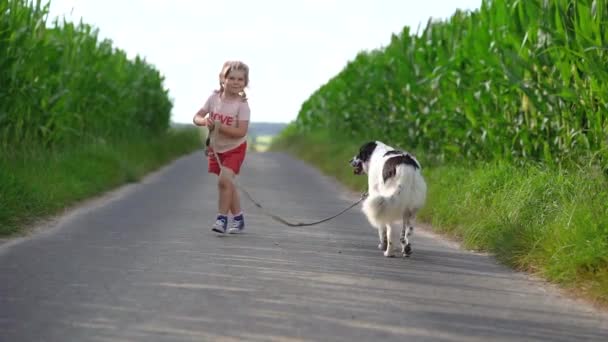 Linda niña preescolar va a dar un paseo con el perro de la familia en la naturaleza. Feliz niño sonriente divirtiéndose con el perro, correr y abrazarse. Familia feliz al aire libre. Amistad y amor entre animales y niños Metraje De Stock