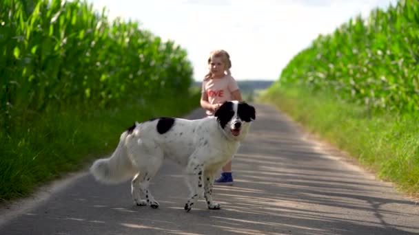Schattig klein kleuter meisje gaat voor een wandeling met familie hond in de natuur. Rechtenvrije Stockvideo