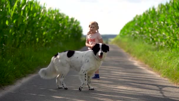Menina pré-escolar bonito indo para um passeio com cão de família na natureza. Vídeo De Stock