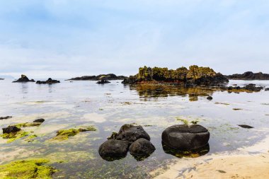 Antrim Sahili Ballintoyat Bölgesi, Kuzey İrlanda. Sert İrlanda manzara ve kıyı şeridi, Wild Atlantic Way parçası.