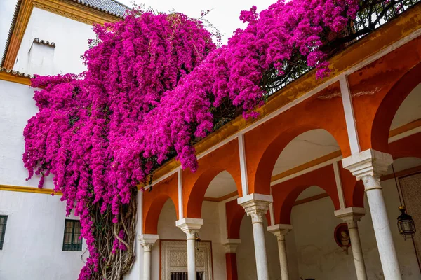 Pilatos hus heter Casa de Pilatos i Sevilla, Spanien. Dess arkitektur är en originell blandning av italiensk renässans och andalusisk mudejar stil. — Stockfoto