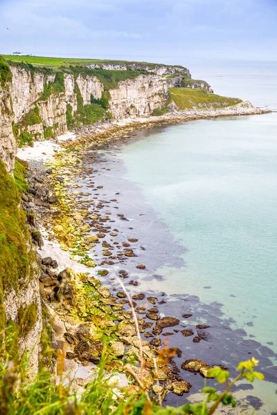 Carrick-a-Rede Köprüsü kıyısında, İrlanda kıyı şeridi üzerinde Kuzey İrlanda 'nın Antrim ilçesi Ballintoy yakınlarında meşhur ip köprüsü. Bulutlu bir günde Vahşi Atlantik Yolu.