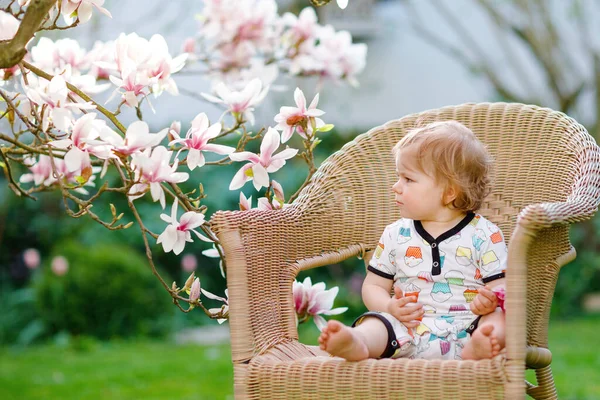 Söt liten flicka som sitter på en stor stol i trädgården. Vackra glada leende barn med blommande rosa magnolia träd på bakgrunden. Friska barn njuter av vårsäsongen. — Stockfoto