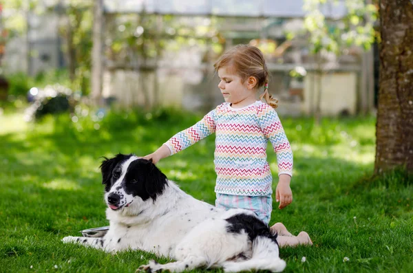 Mignon petit tout-petit fille jouer avec chien de famille dans le jardin. Joyeux enfant souriant s'amuser avec le chien, embrasser jouer avec la balle. Joyeux famille à l'extérieur. Amitié entre animaux et enfants — Photo