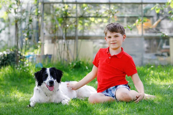 Petit garçon actif jouant avec un chien de famille dans le jardin. Riant écolier s'amusant avec chien d'entraînement, courir et jouer avec le ballon. Joyeux famille à l'extérieur. Amitié entre animaux et enfants — Photo