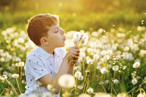 Schattig schattig school jongen waait op een paardebloem bloem op de natuur in de zomer. Gelukkig gezond mooi kind met blowball, plezier hebben. Bright zonsondergang licht, actieve Kid. — Stockfoto
