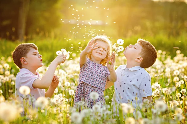 여름에 자연에 있는 민들레 꽃을 불어 대는 두 소년 과어린 소녀. 건강 한 아이들 과 불알을 가진 학교 아이들 이 행복하게 놀고 있습니다. 사랑하는 세 가족 이 함께 — 스톡 사진