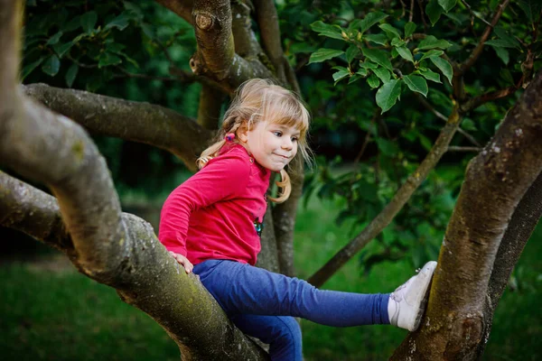 小女孩在自家后院的树上爬树。可爱快乐的孩子挂在木兰花树上，和孩子们在户外玩耍. — 图库照片