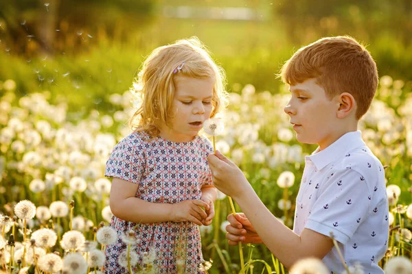 Ragazzo di scuola e bambina che soffiano su fiori di dente di leone sulla natura nell'estate. Buon bambino sano e bambini della scuola con pompini, divertirsi. Famiglia di due innamorati, insieme — Foto Stock