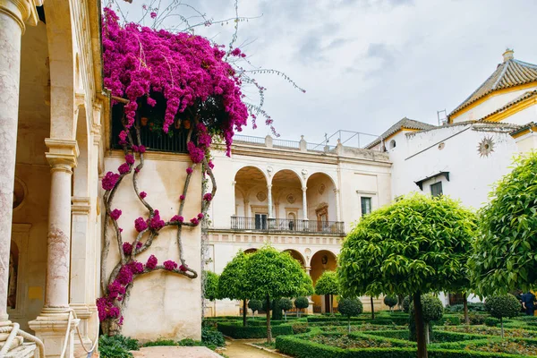 Pilatos hus heter Casa de Pilatos i Sevilla, Spanien. Dess arkitektur är en originell blandning av italiensk renässans och andalusisk mudejar stil. — Stockfoto